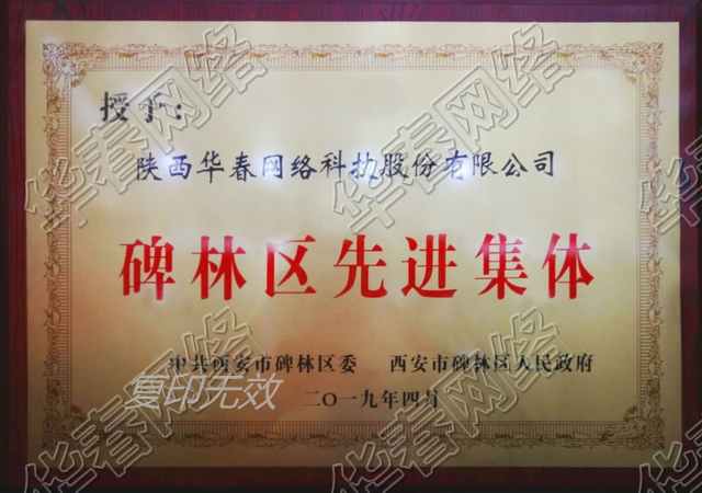 2019年西安市碑林區先進集